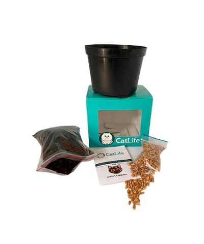 KIT DE SIEMBRA