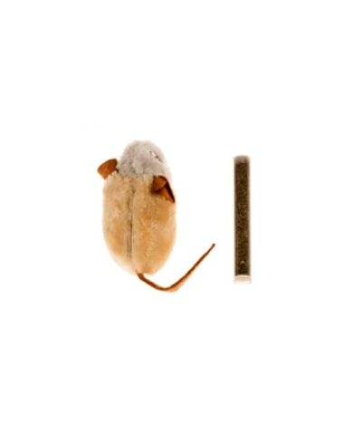 RATON COUNTRY CATNIP