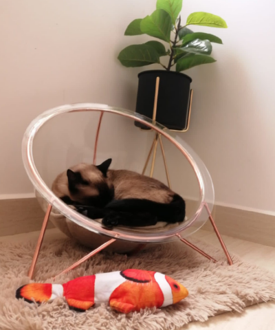 BURBUCAT