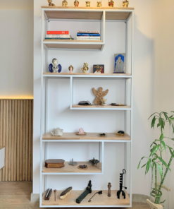 BIBLIOTECA ASLAN