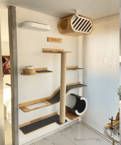 CATIFICATION VALENCIA