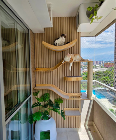 CATIFICATION CURAZAO